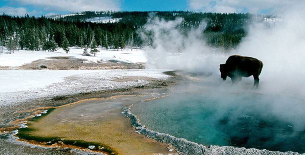 Movie Night: “Christmas in Yellowstone” – Dec 28th, 4:30 – 5:30 pm