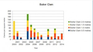 Butter Clams