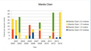 Manila