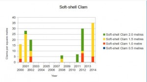 Soft-shell