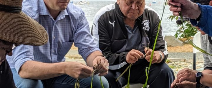 Eelgrass Transplanting June 2019, over 5000 plants were transplanted!